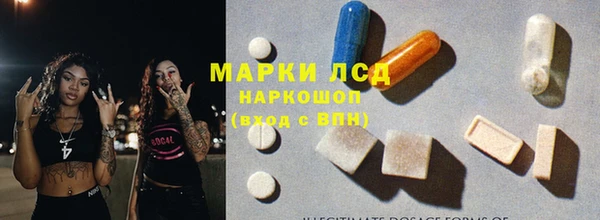 гашик Богданович
