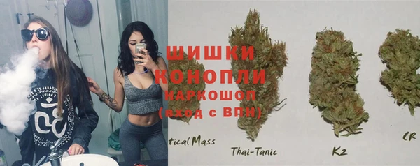 гашик Богданович