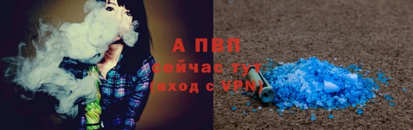 гашик Богданович