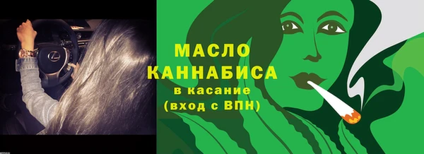 гашик Богданович