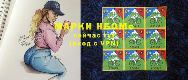 гашик Богданович