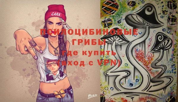 прущая мука Богородск