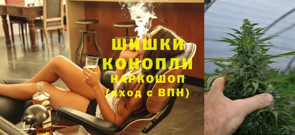 гашик Богданович