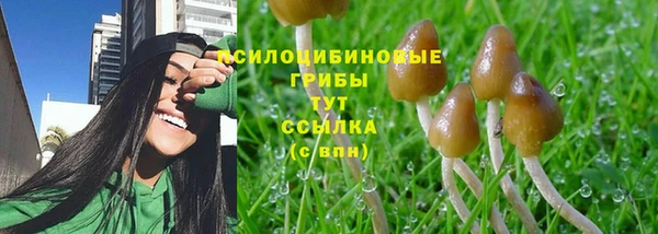 прущая мука Богородск