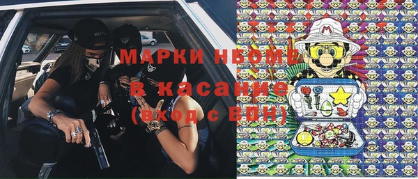 гашик Богданович