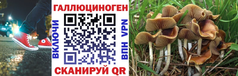 Галлюциногенные грибы мицелий  Среднеуральск 