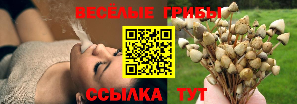 Среднеуральск  Галлюциногенные грибы Cubensis  Вход с VPN 